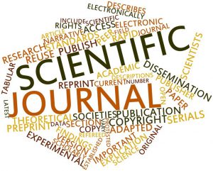 Home-modification interventions addressing falls and participation in activities of daily living among older adults: a scoping review protocol
